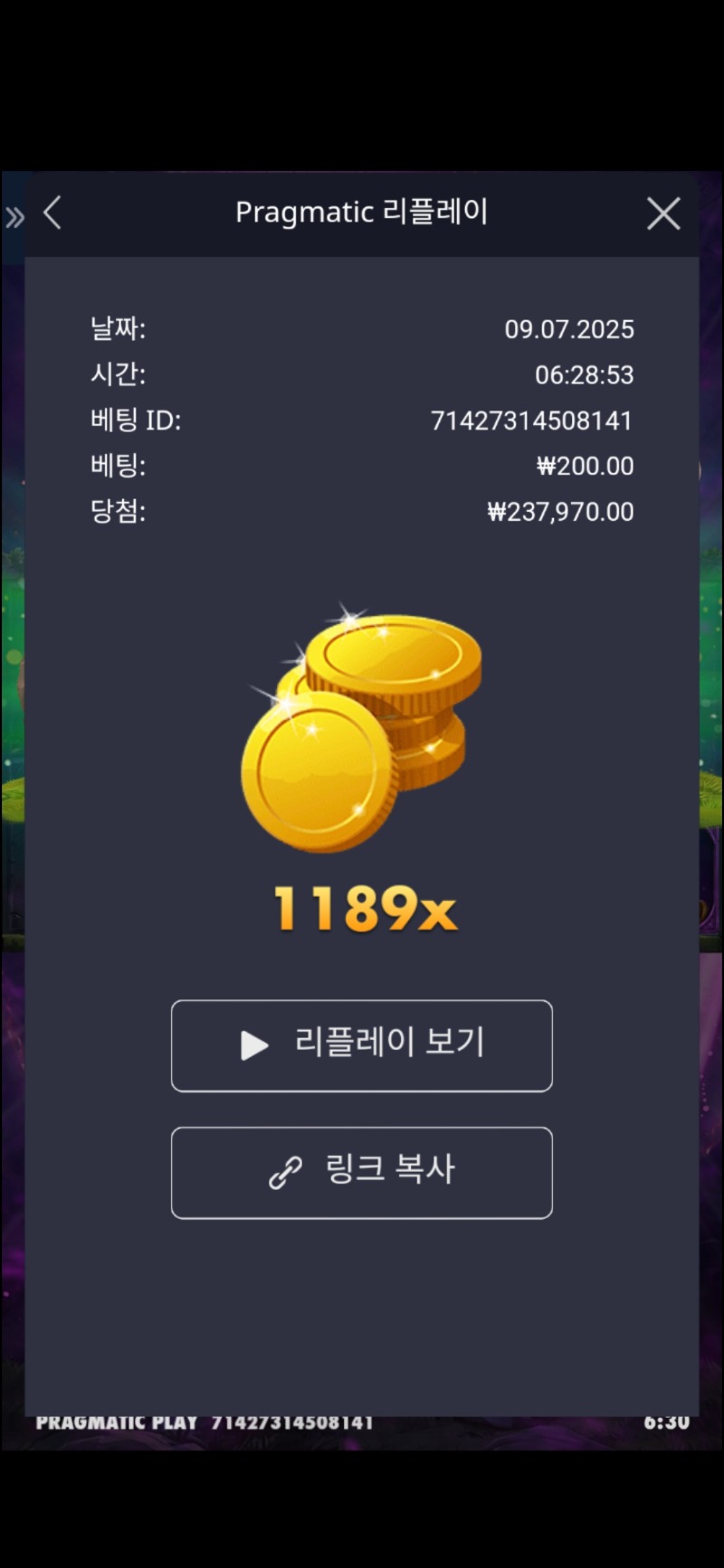 멀린1189