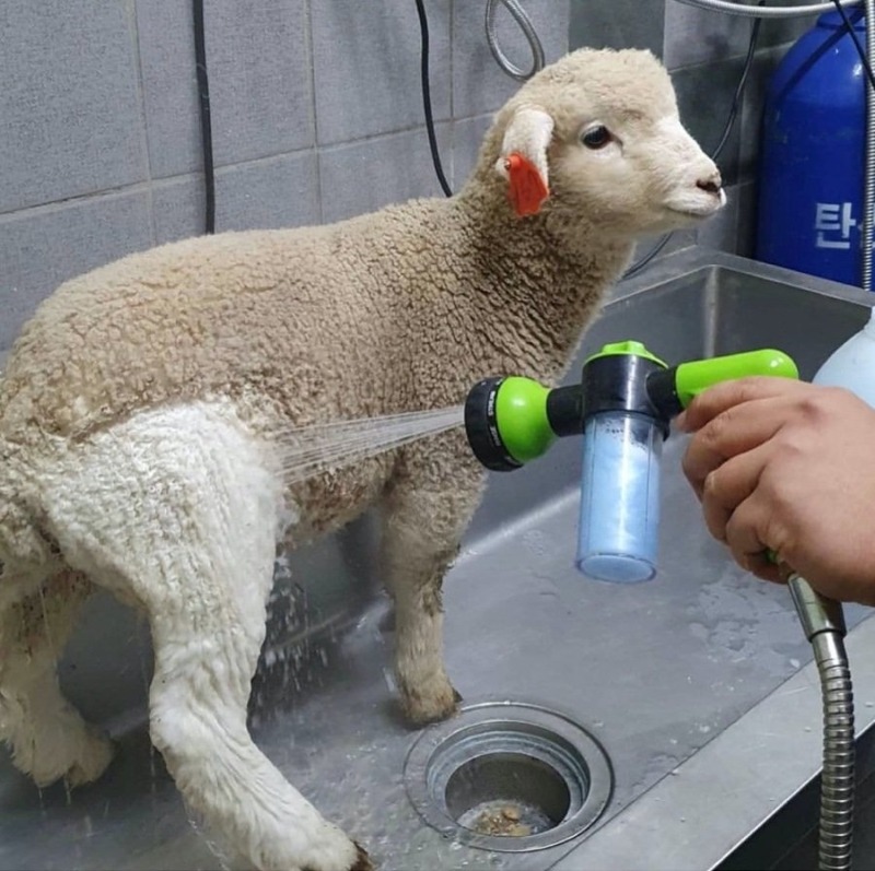 평소에 좀 씻고다녀야 하는 이유