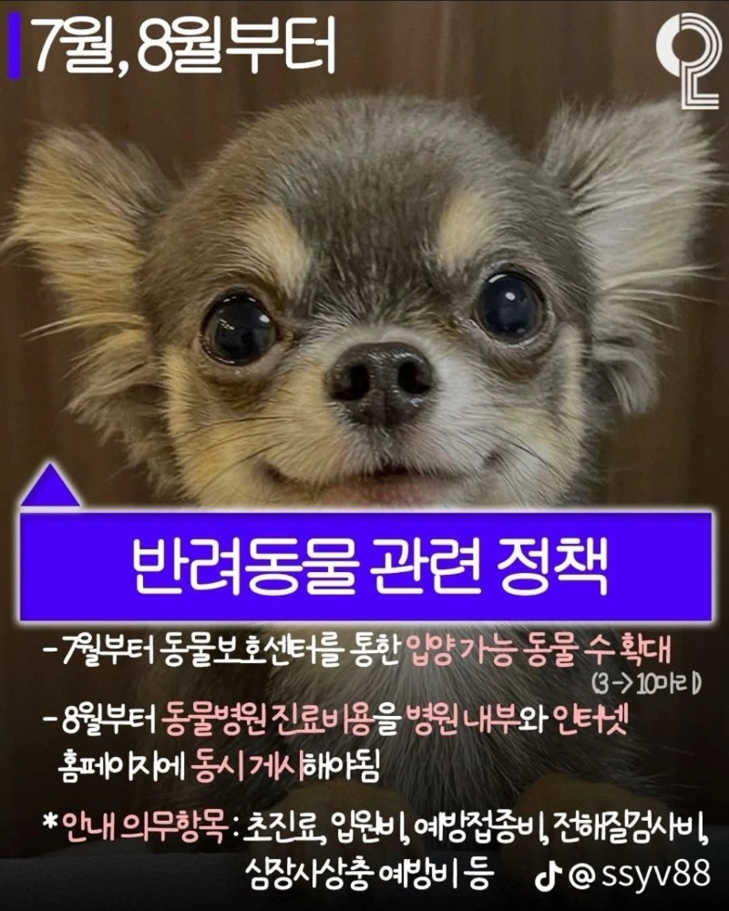 굿몽~36도  날씨 /7월부터~