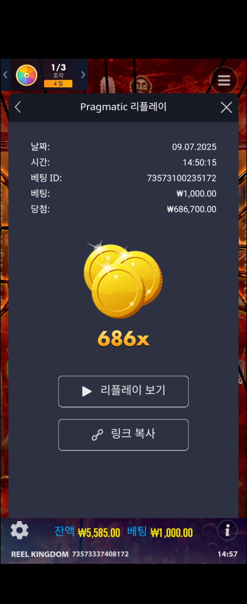 오늘의배당 686