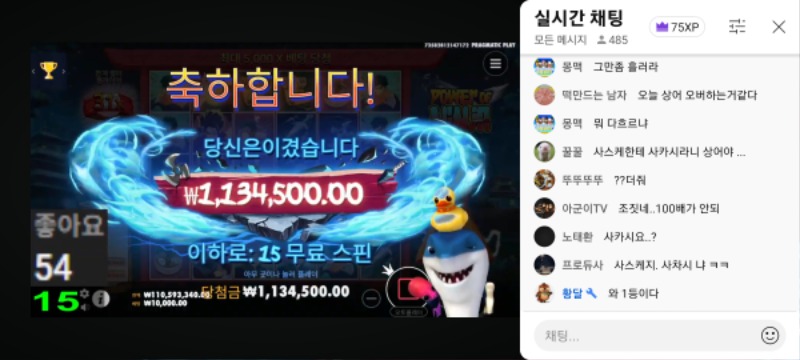 최배비 1번째순서 상어결과