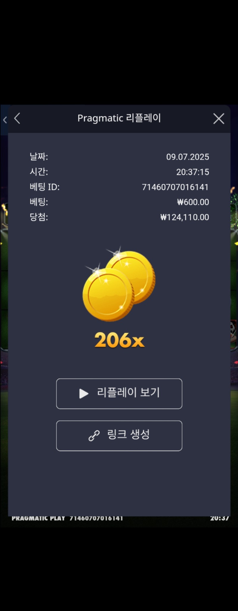 스핀스코어 206