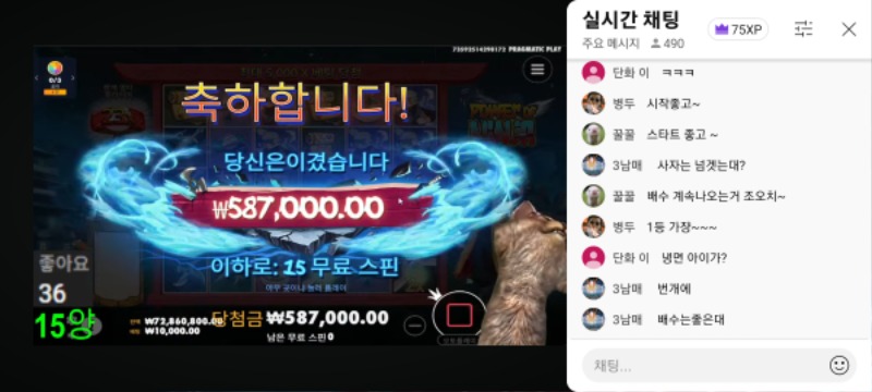 최배비 최종순위공