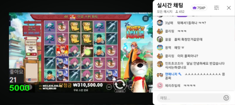 최배비 최종순위공