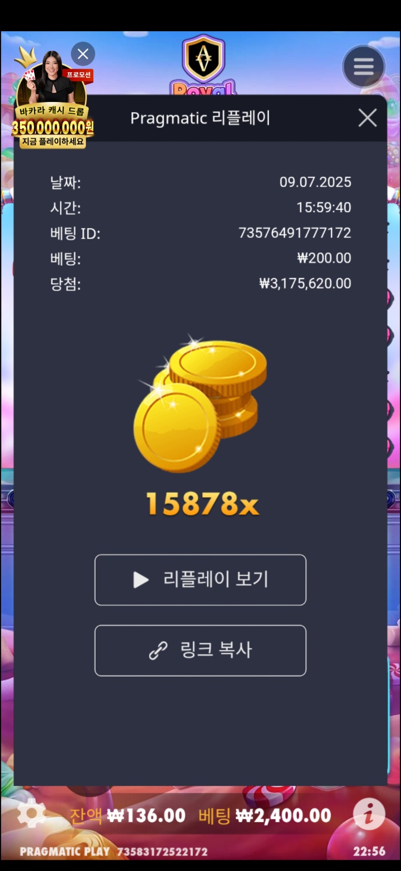 로야슈가15878배