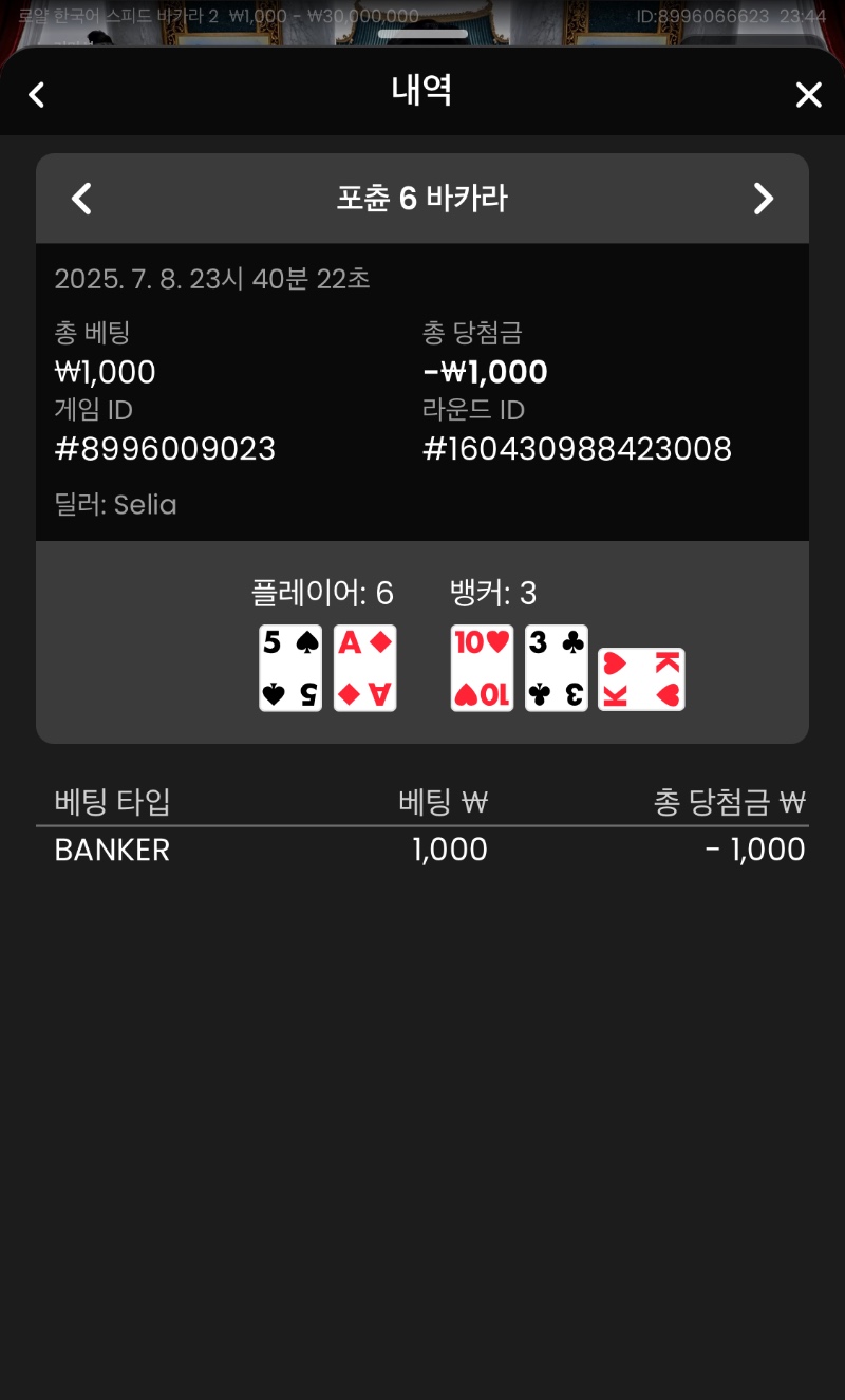 남은포인트로 카라 패