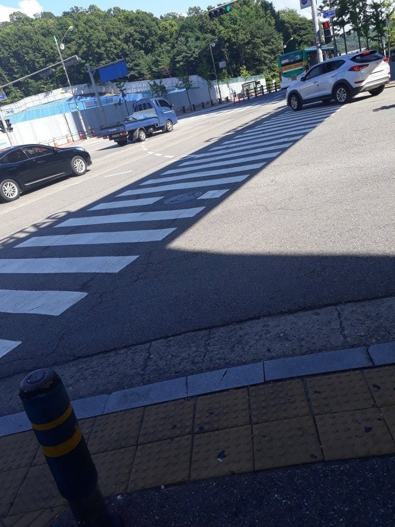 여름철 축복받은 횡단보도