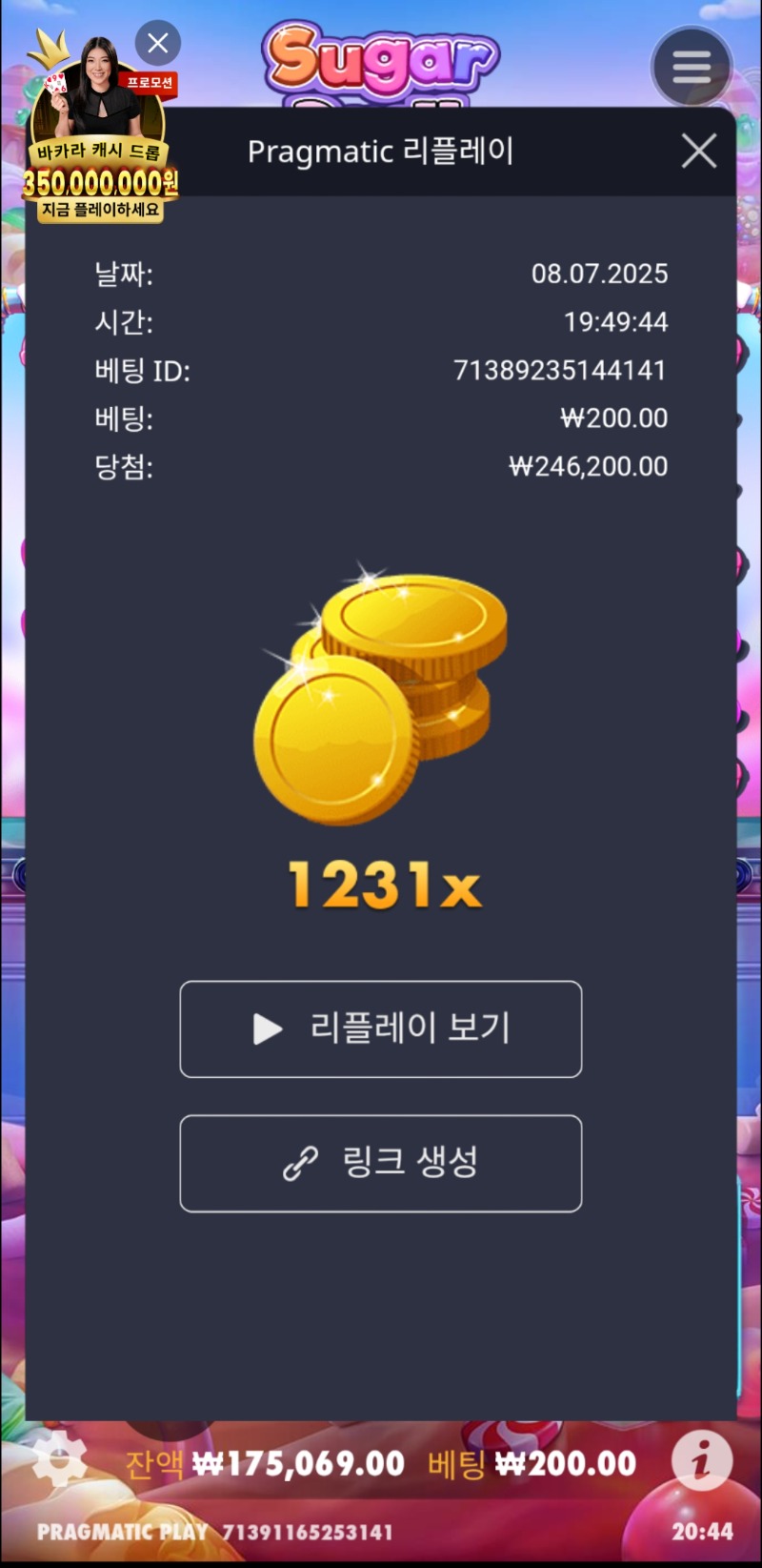 슈천 1231