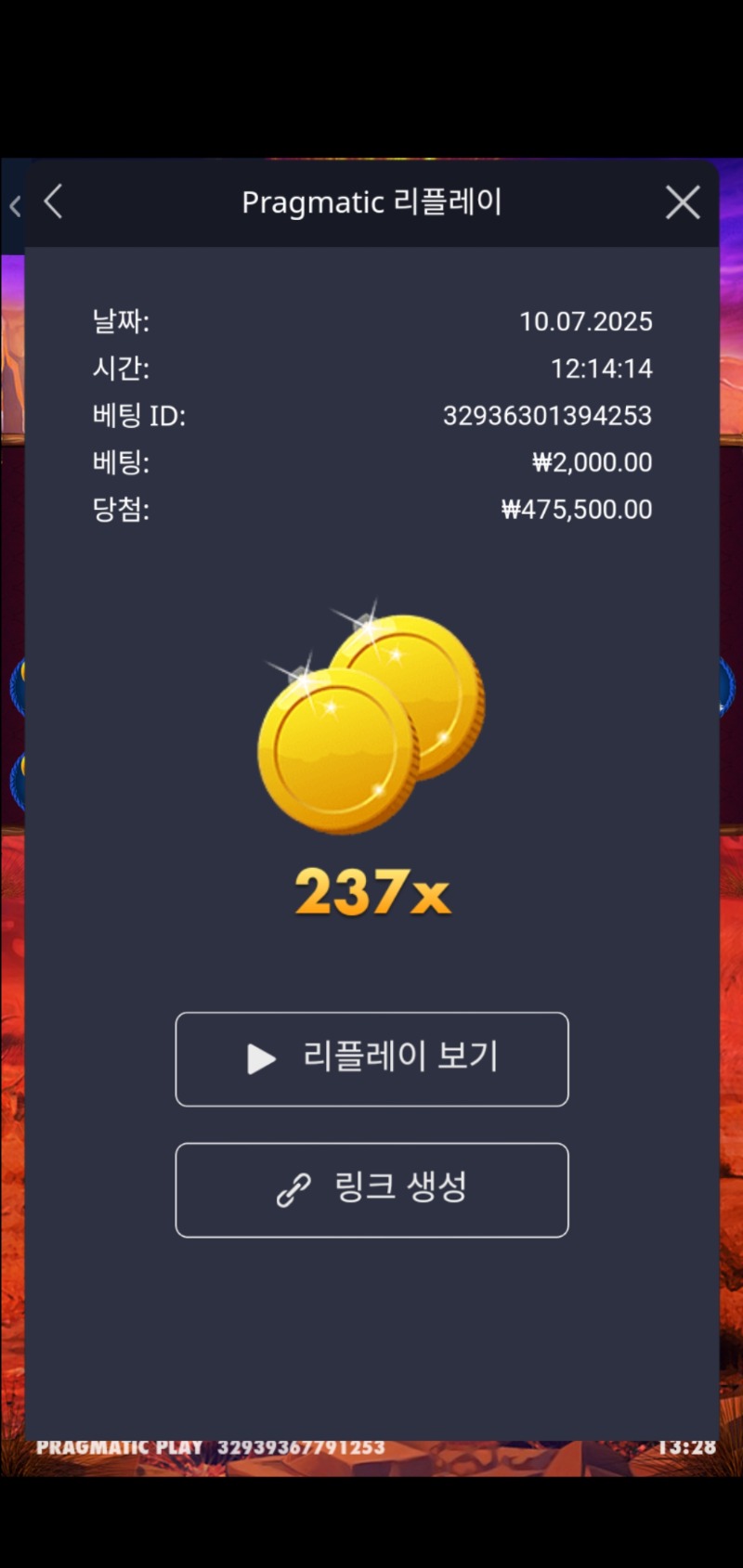 버팔로 237배