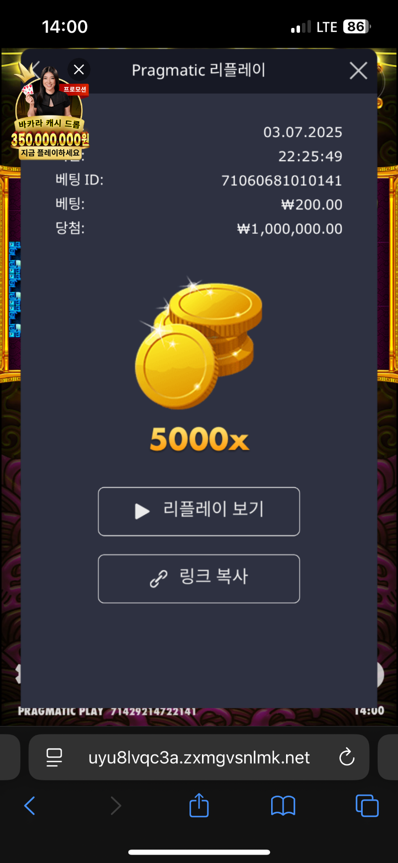 토라매 5000