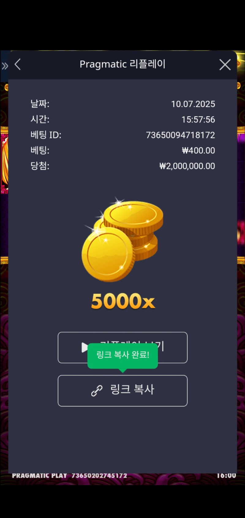 토라매 5000배 맥스