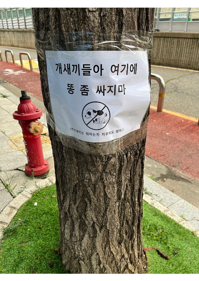 개새끼들아 여기에 똥 좀 싸지마