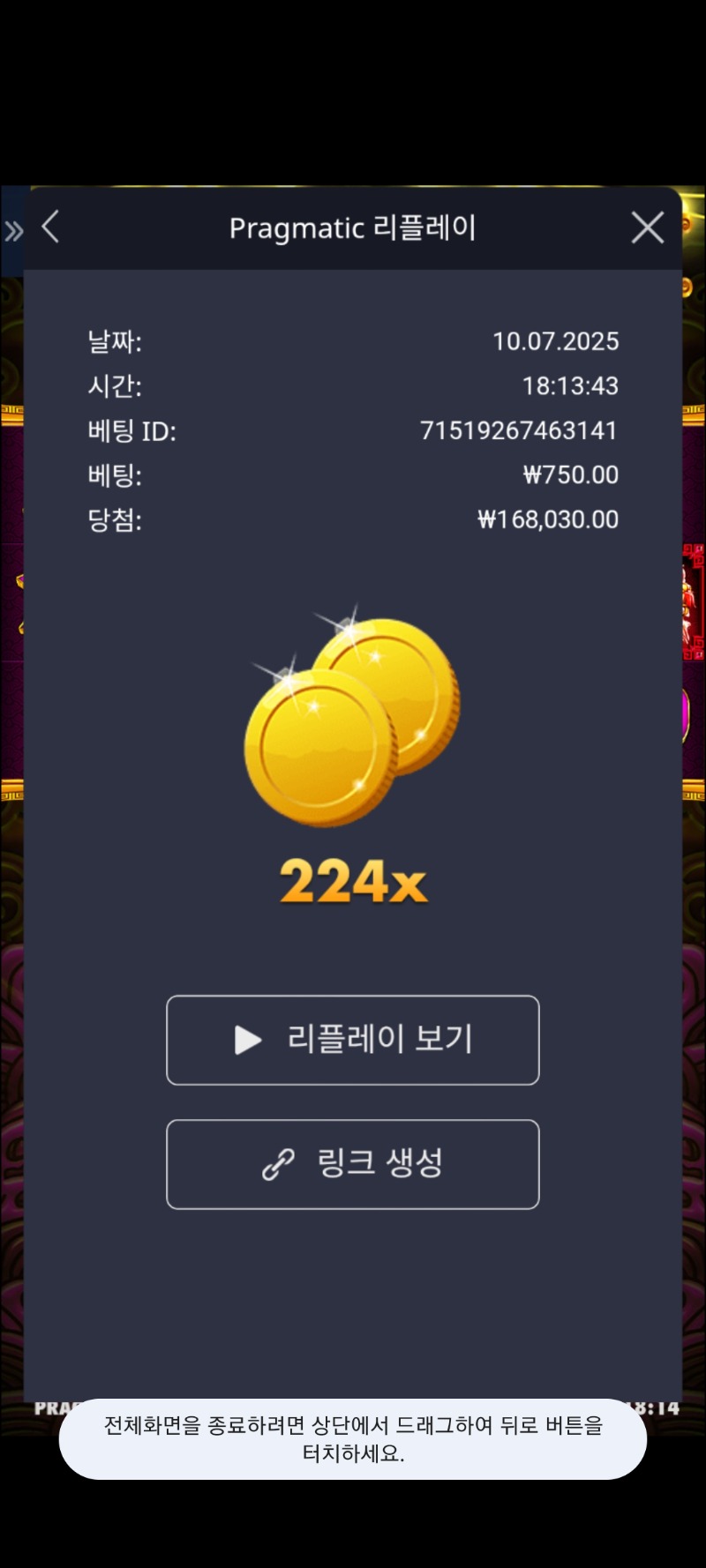 토라메224배