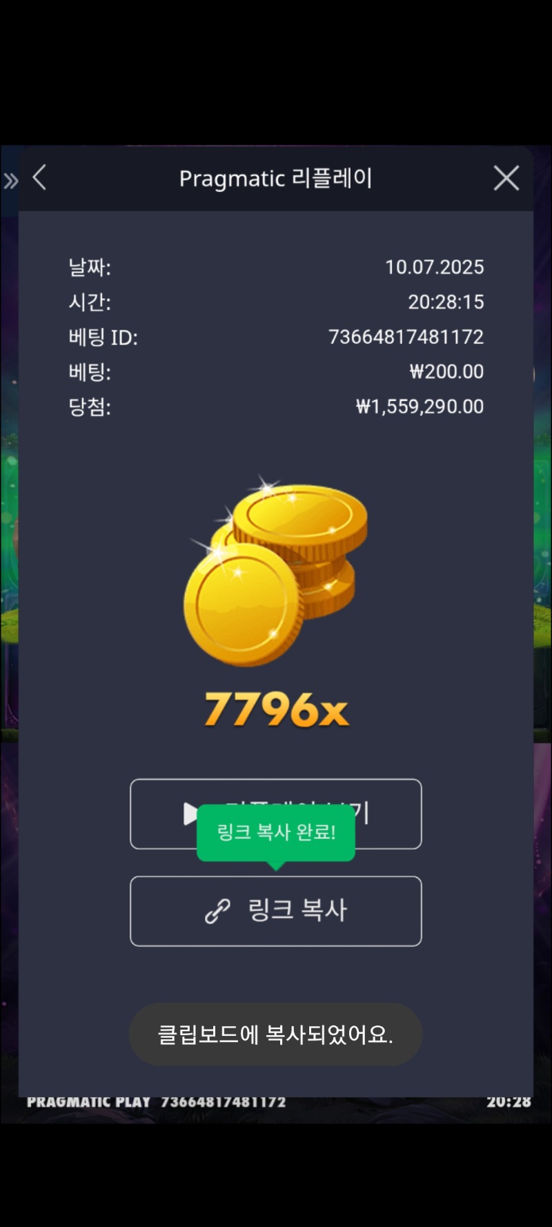 멀린7769배
