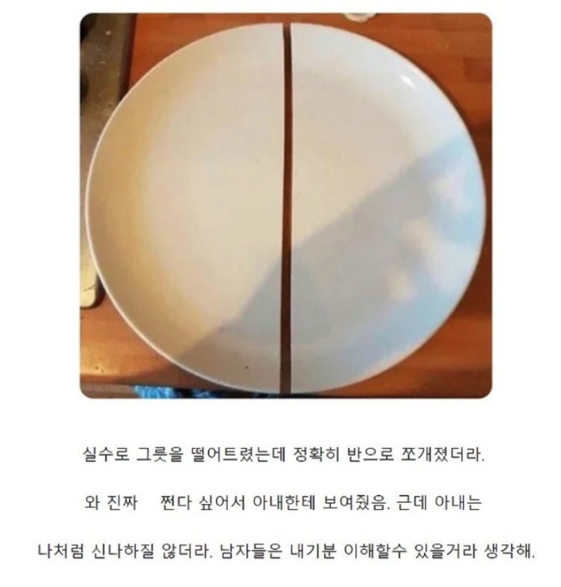 그릇을 정확히 반으로