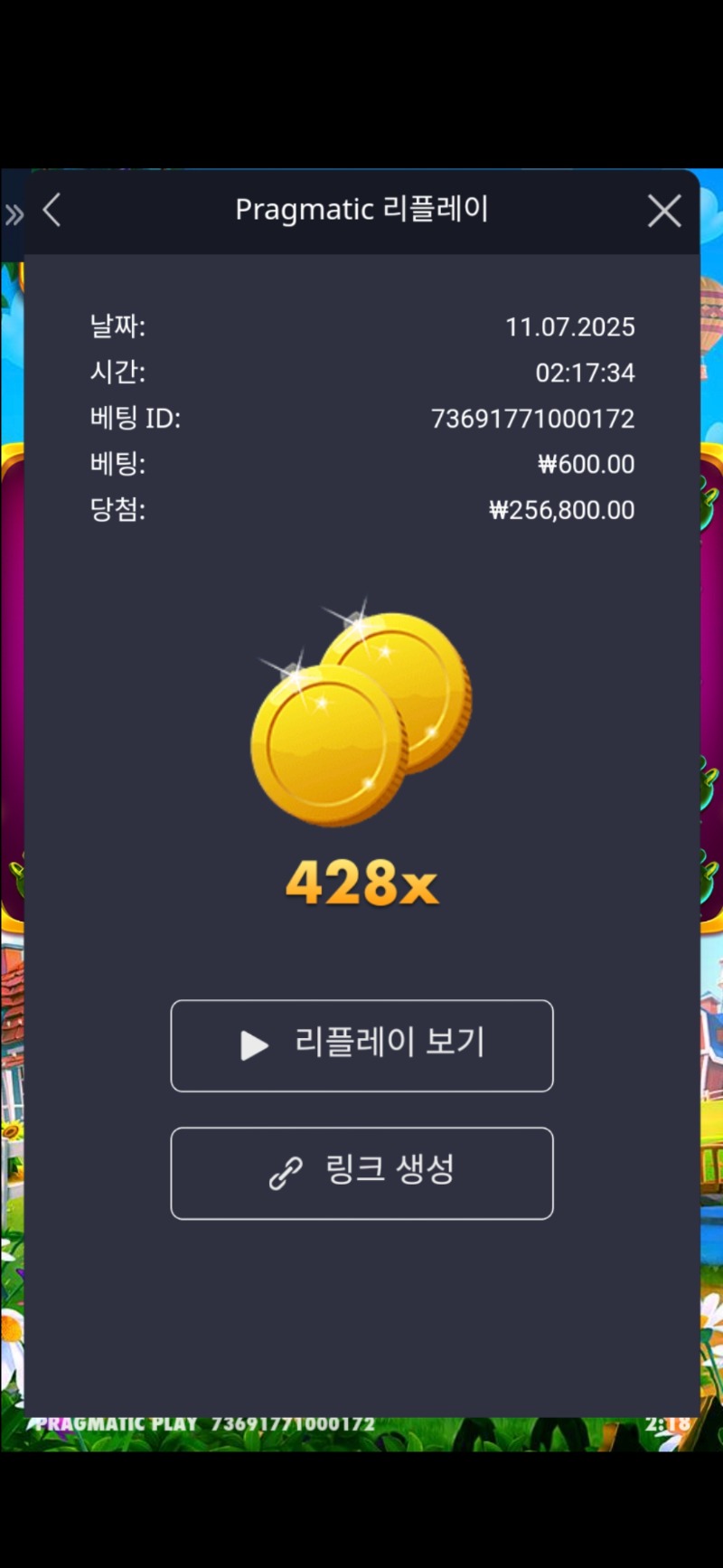 황금멀티 428배