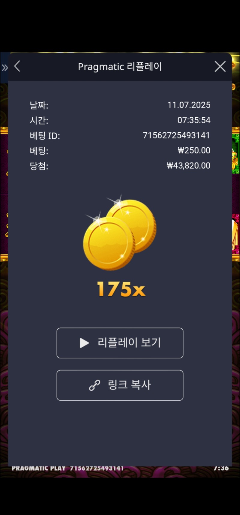 토라메 175배