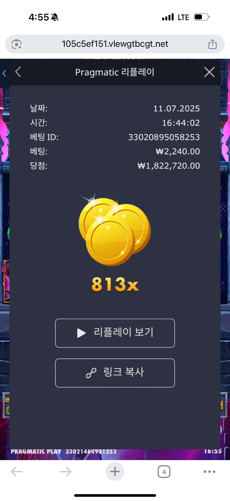 주배찾 뱀피 813배