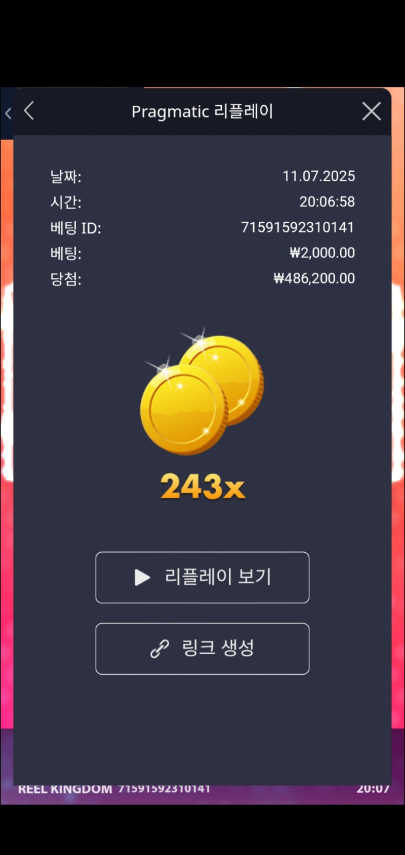 수익왕243배