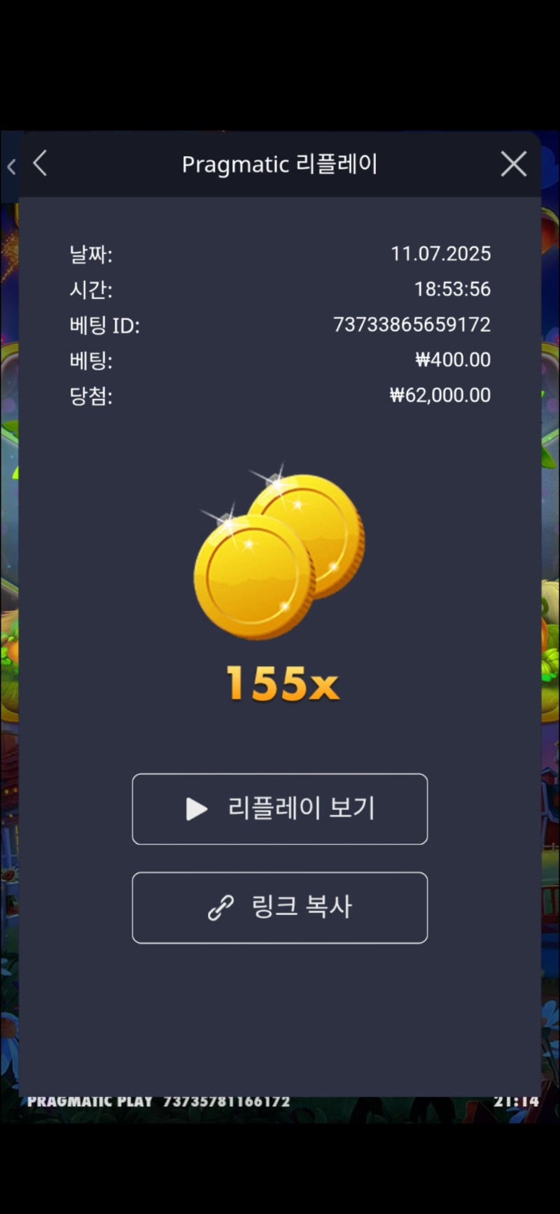 황금조리개 155