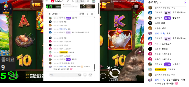 양이 추겜 당첨 포~!