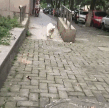 점프
