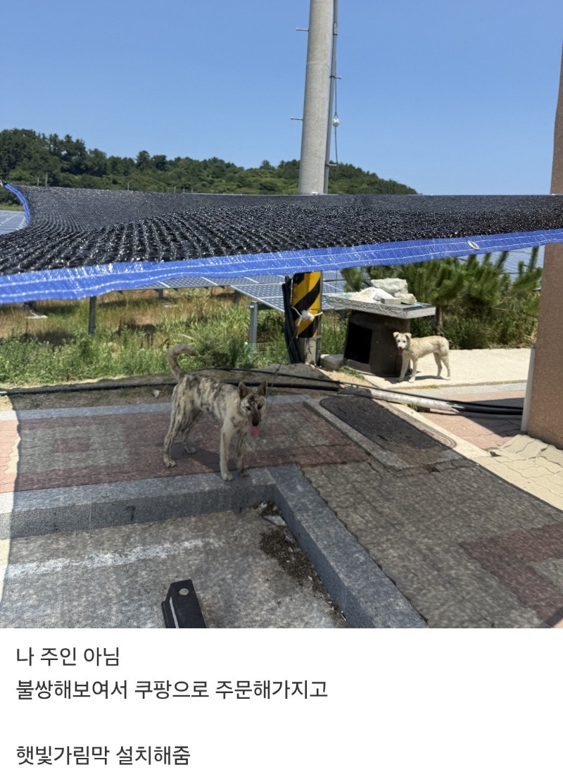 강아지 더울까봐 가림막 설치했는데