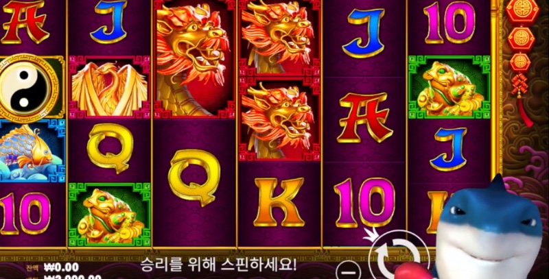 상어야 힘내라