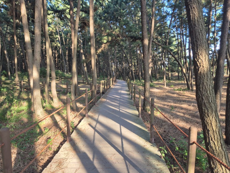 더워서 산보 나왔네요