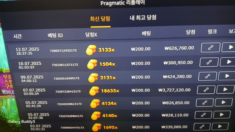 멀린3133배