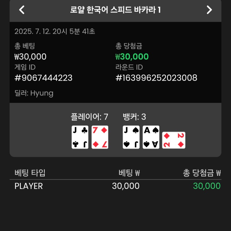 바카라 플레이어 승