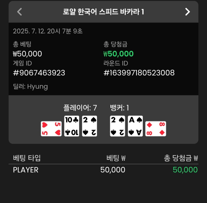 바카라 다시 플레이어 승