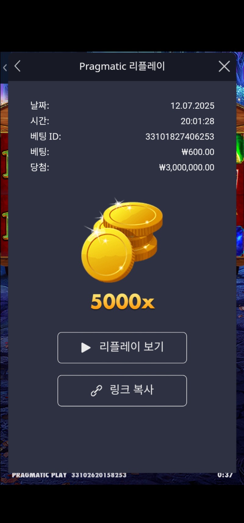 마담 5000배 MAX