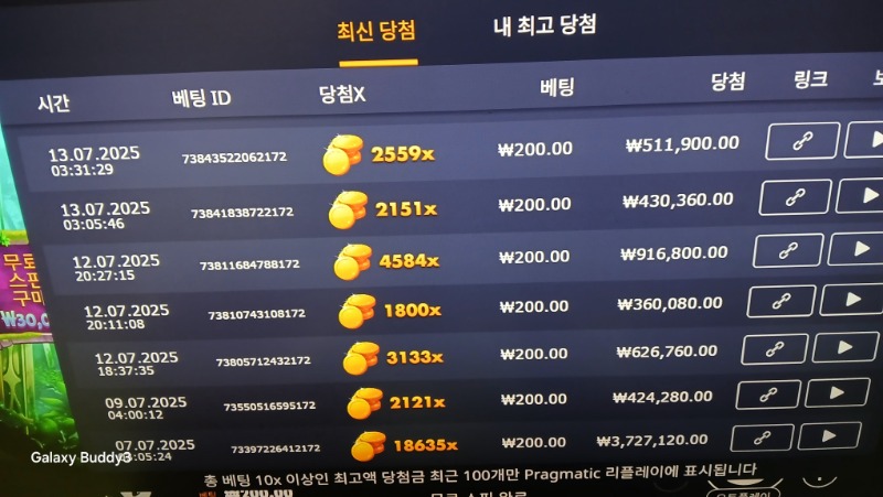 멀린2559배