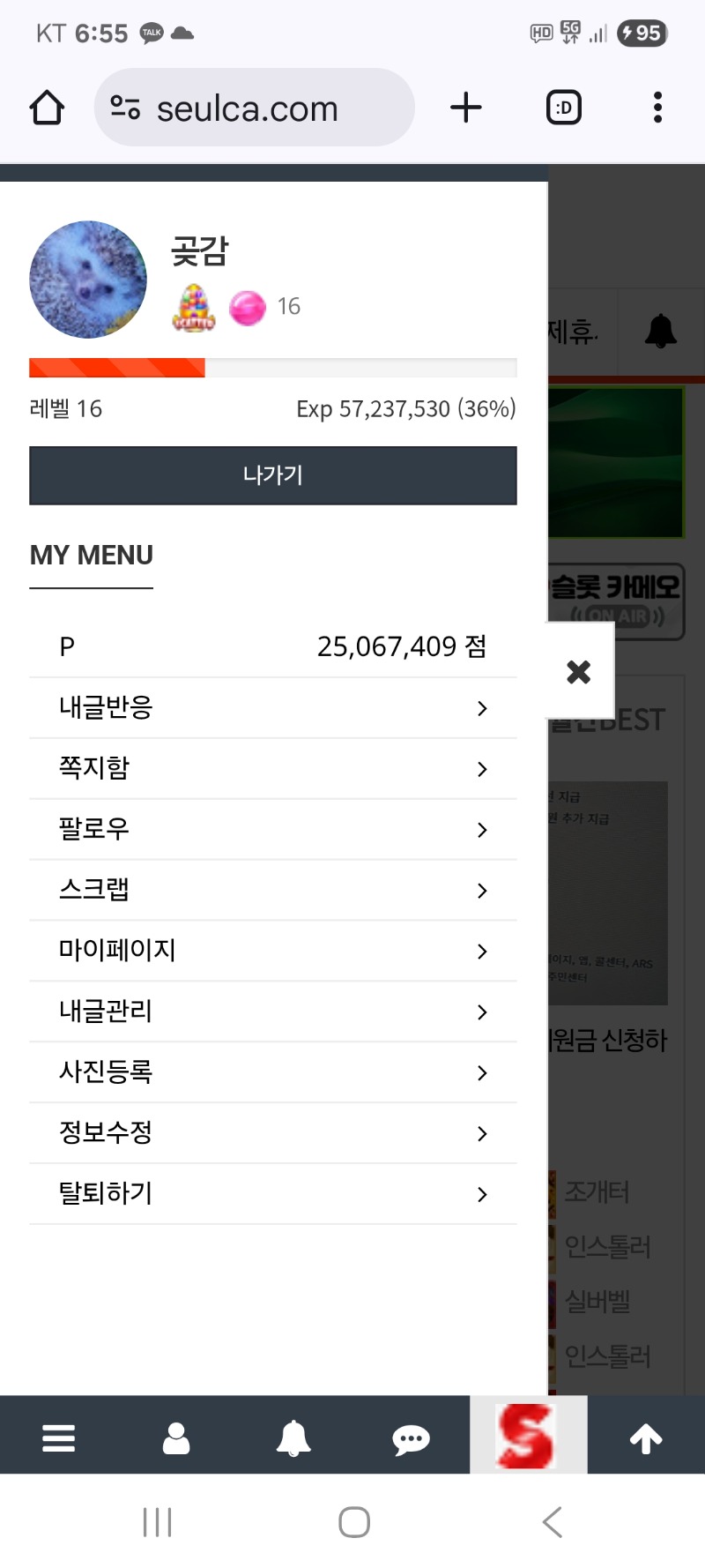 내용글   클리어