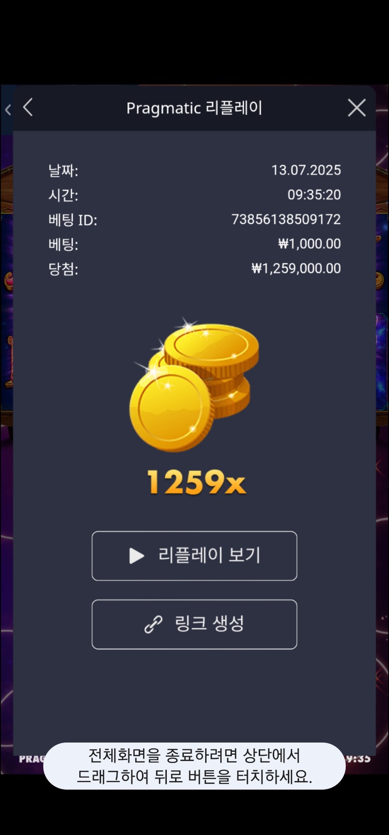 마담 1259배