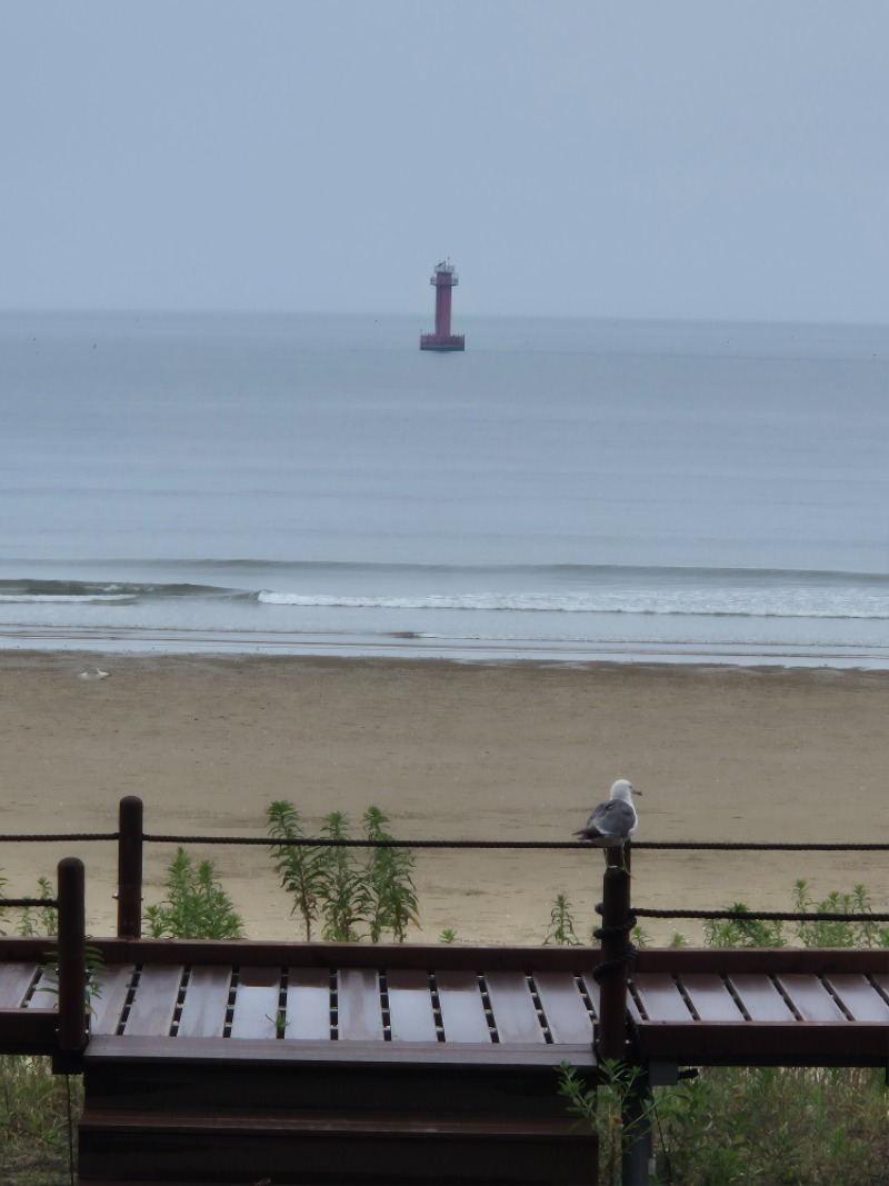 식후 해변산책로 산보