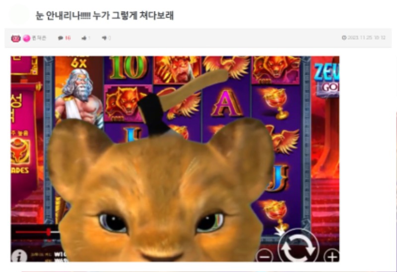 사자 오빠랑 추억