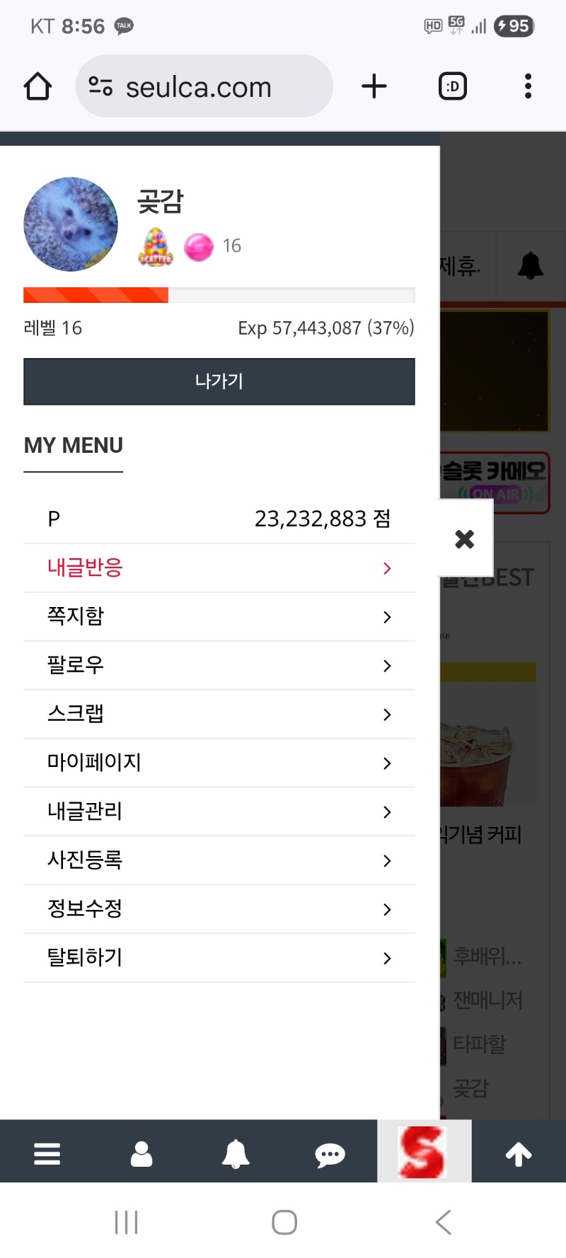 내용글  클리어