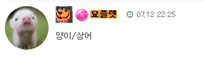 이번주 최바비 성공적. 양이형 우승축하해 ~!