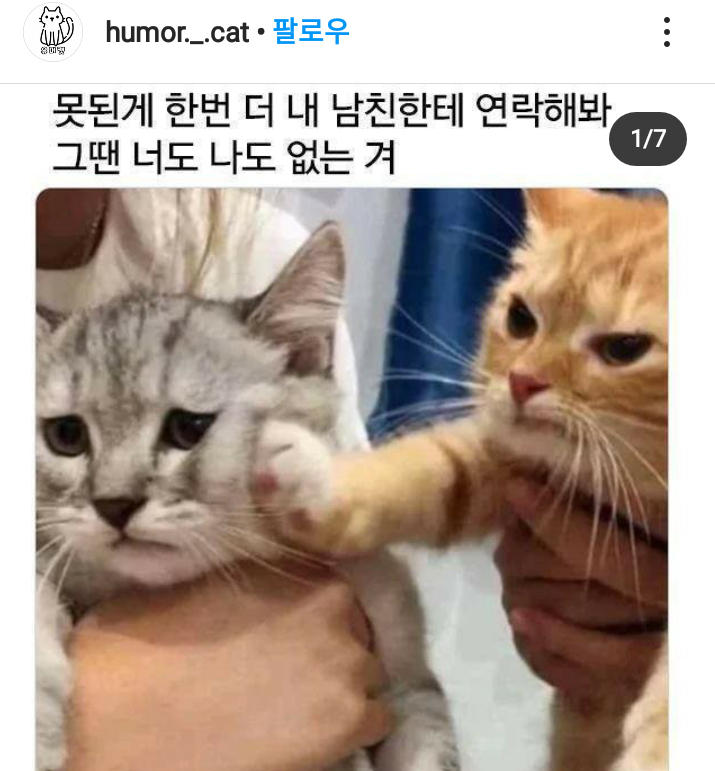 경고하는데~