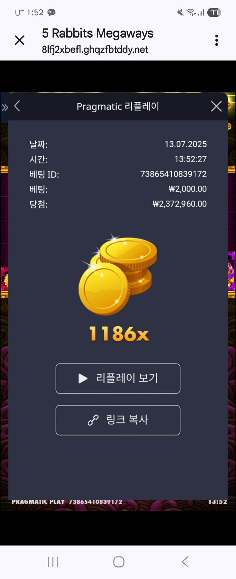 토라메 1186배