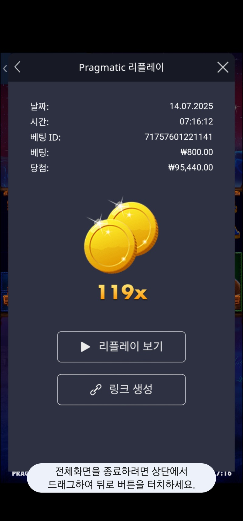 버메가 119배
