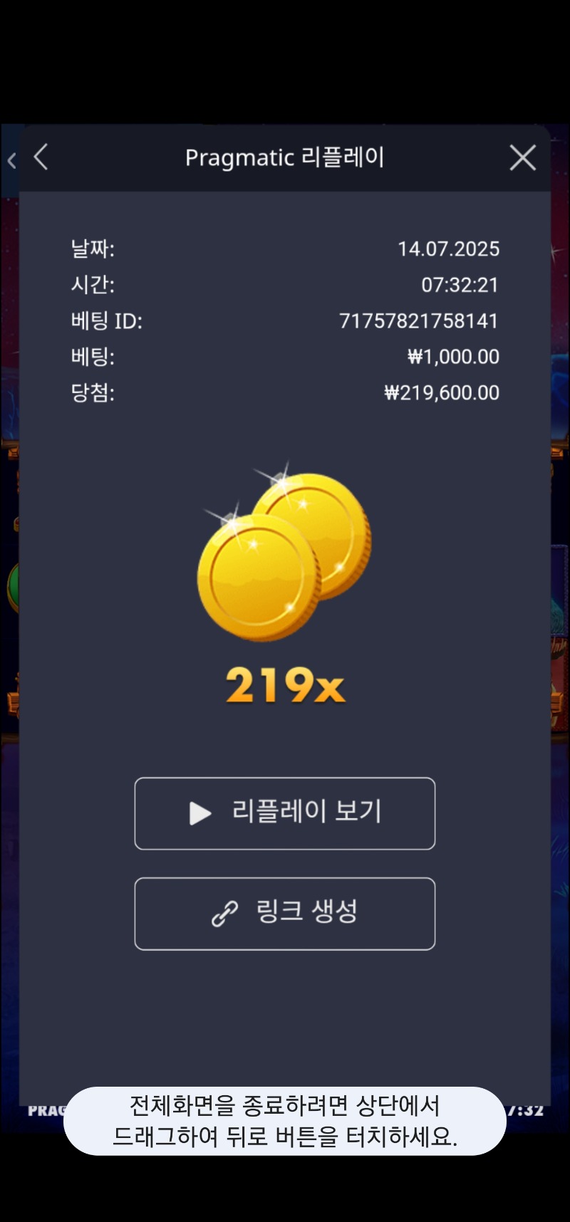 버메가 219배