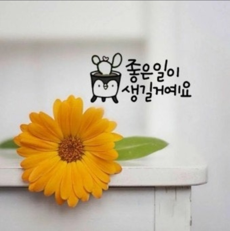 굿몽~아무것도 아닌거처럼...