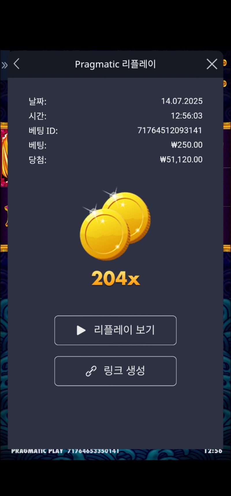 오라메 204