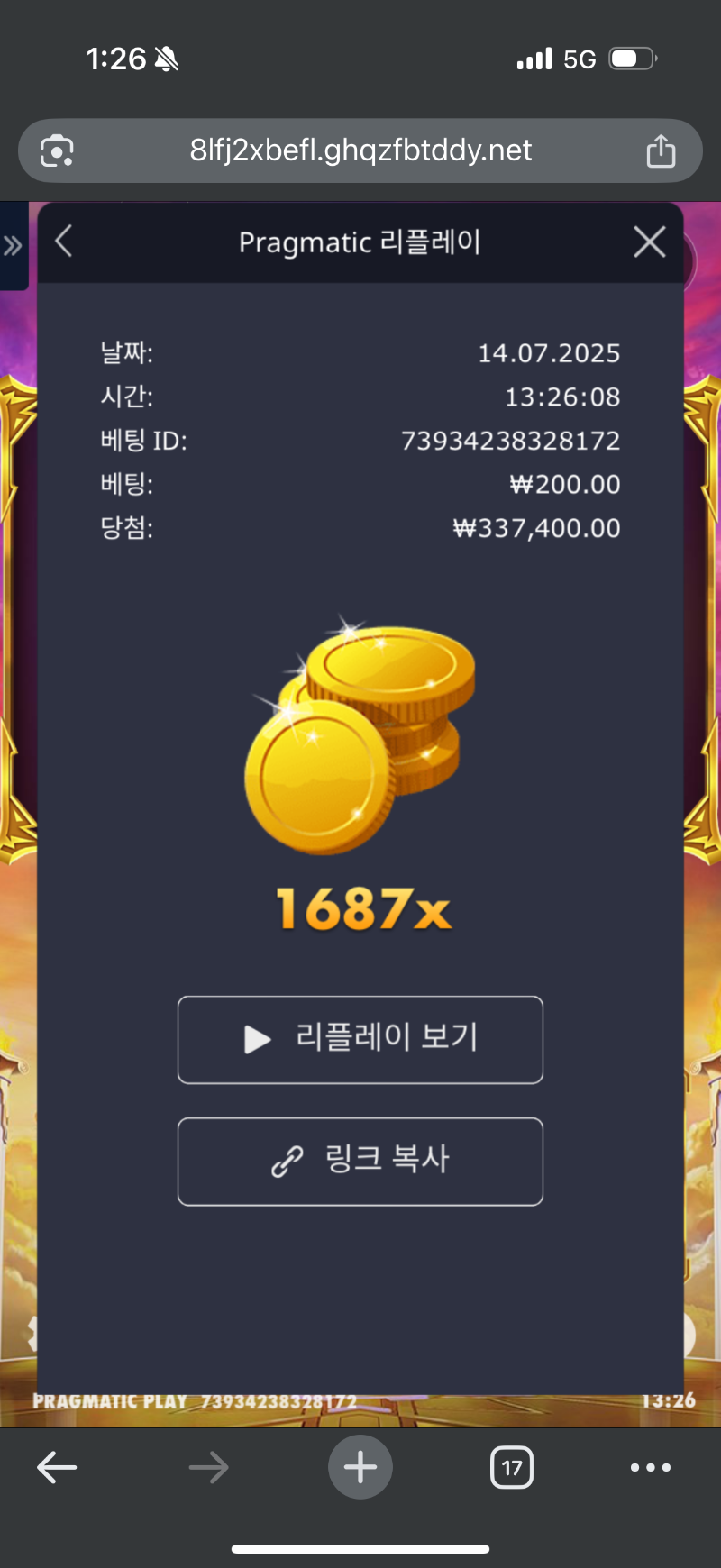 할배다이스 1687배