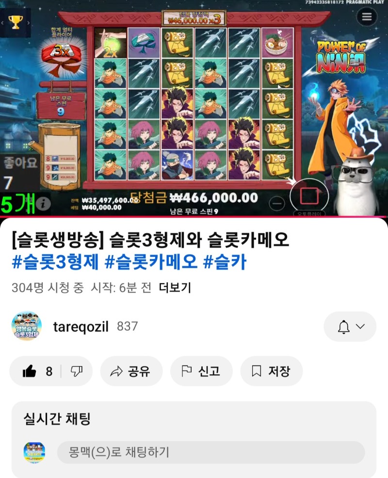 우리 워터도그 방송 스타또~