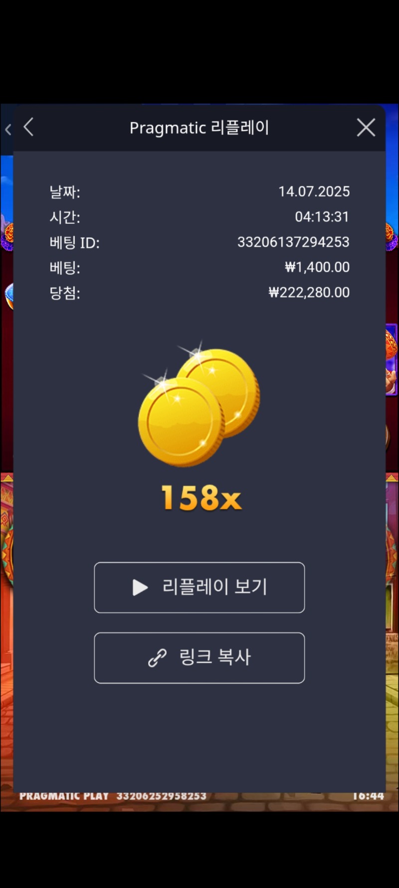 핫피 158배 *1400