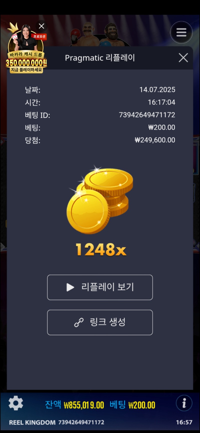 넉아웃 1248배